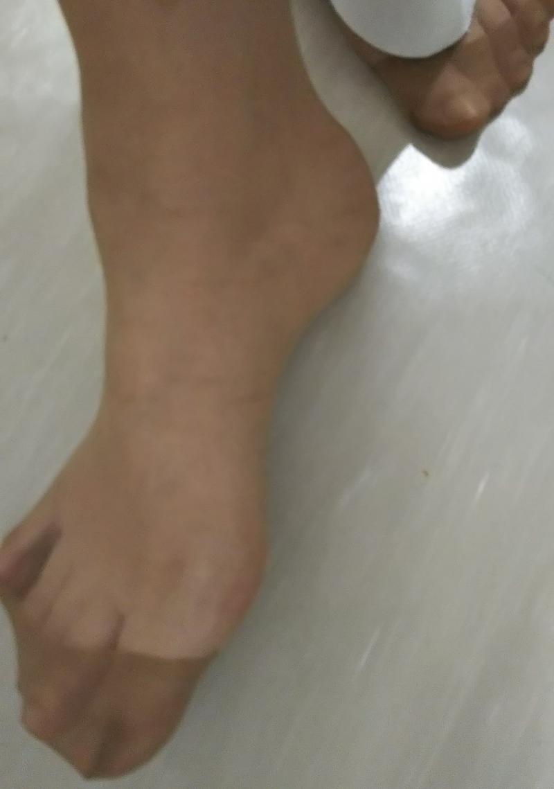 出品者名-写真-1