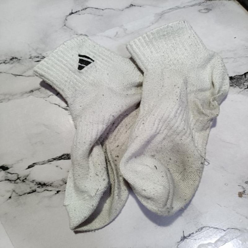 出品者名-写真-1