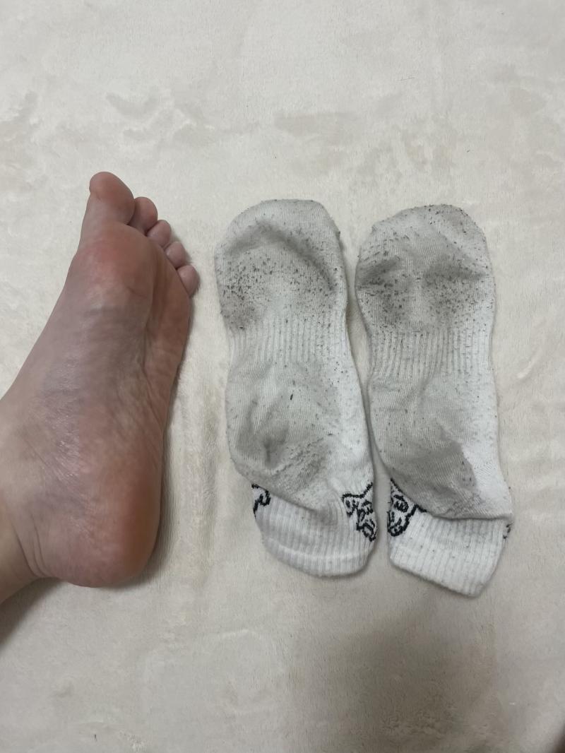 出品者名-写真