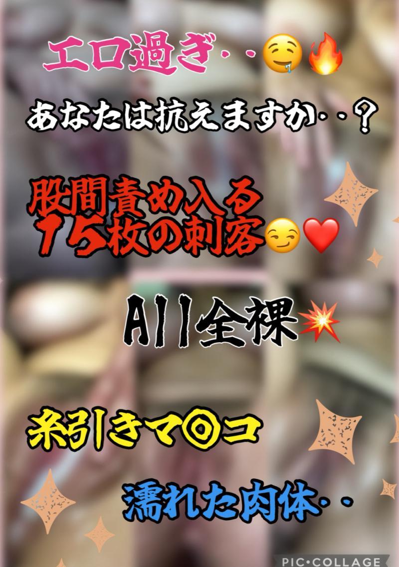 出品者名-写真-1