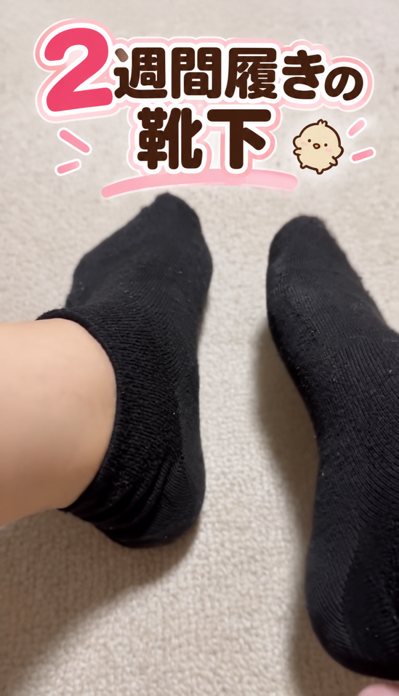 出品者名-写真-1