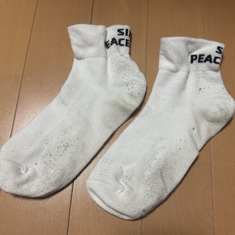 出品者名-写真