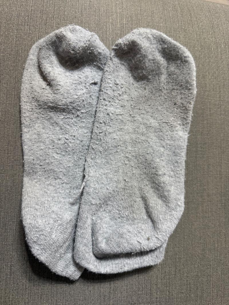 出品者名-写真-1