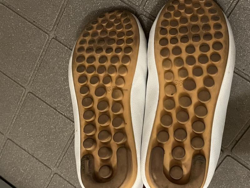 出品者名-写真-1