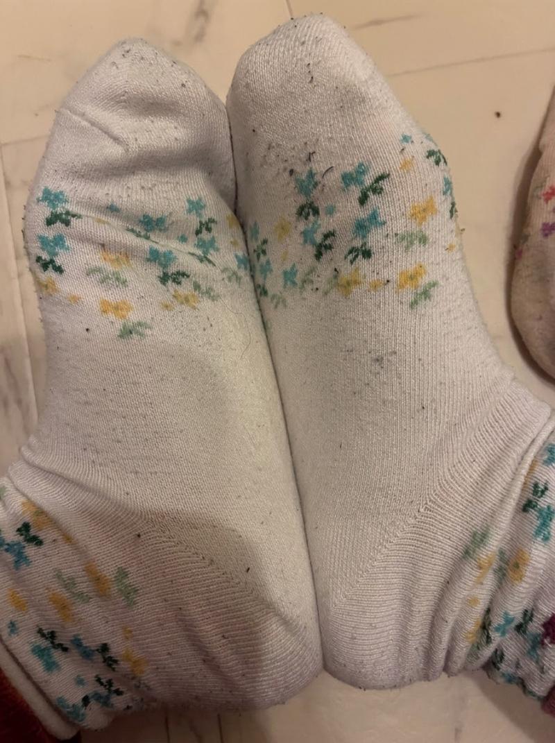出品者名-写真