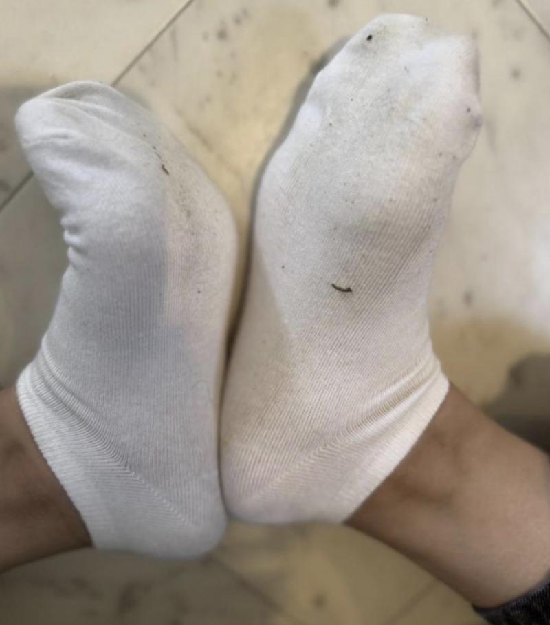 出品者名-写真-1