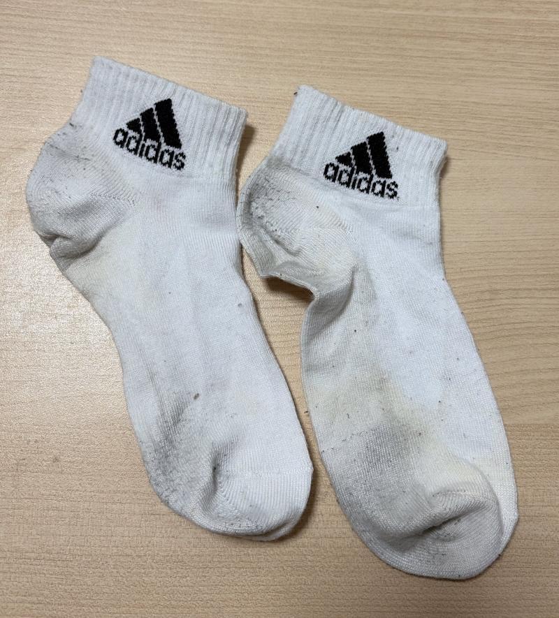 出品者名-写真-1