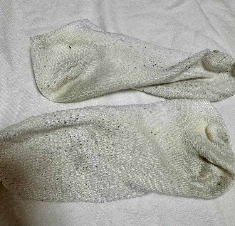 出品者名-写真