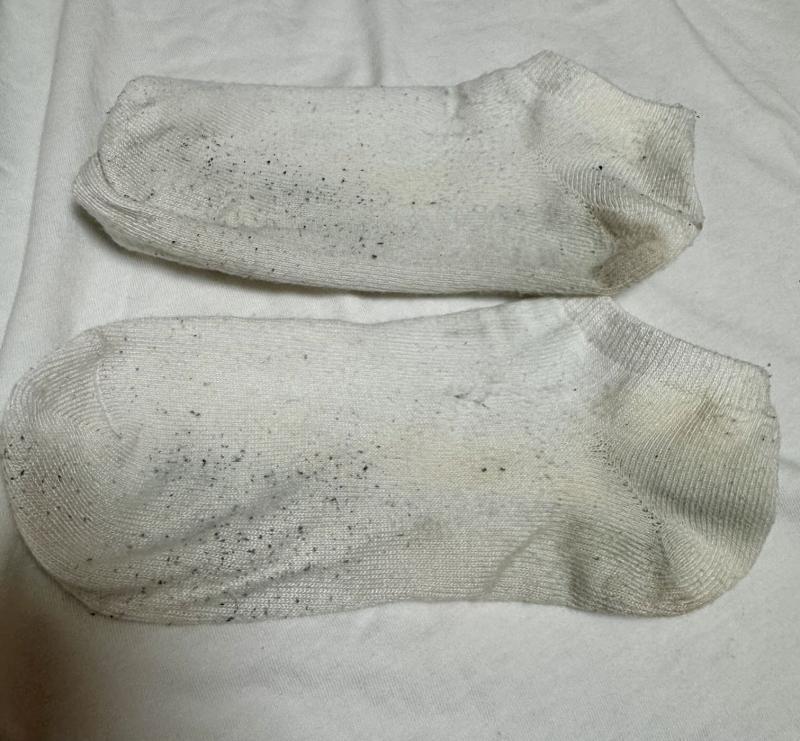 出品者名-写真-1