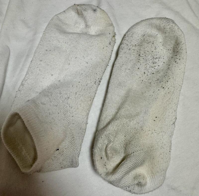 出品者名-写真-1