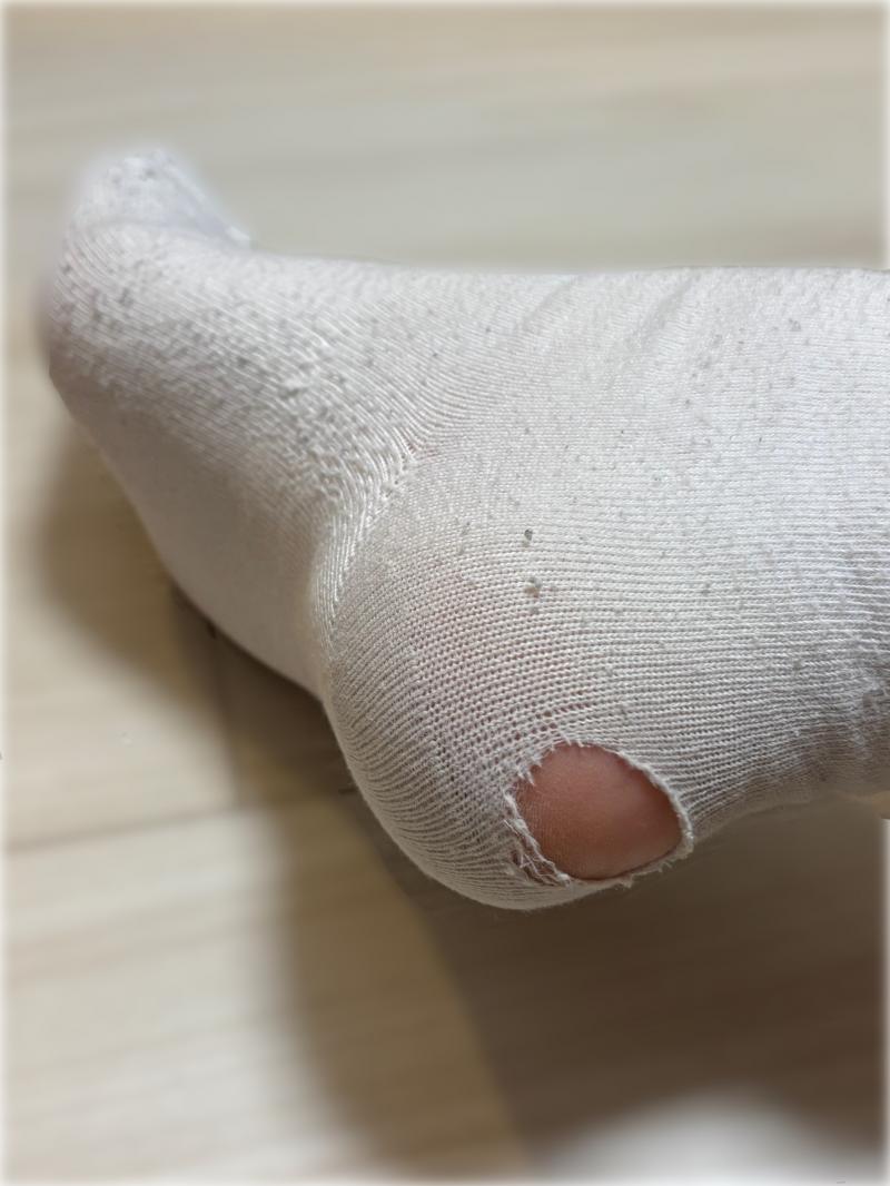 出品者名-写真-1