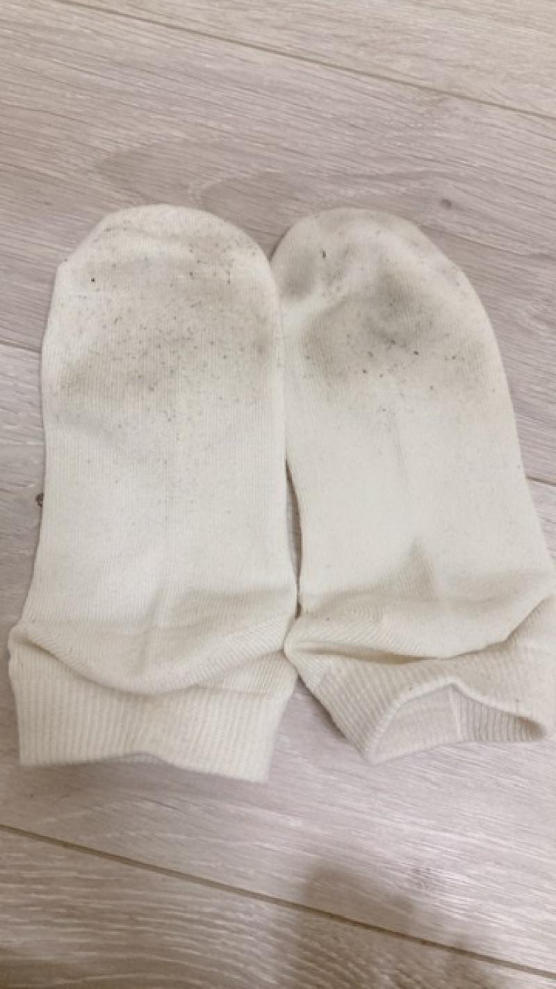 出品者名-写真-1