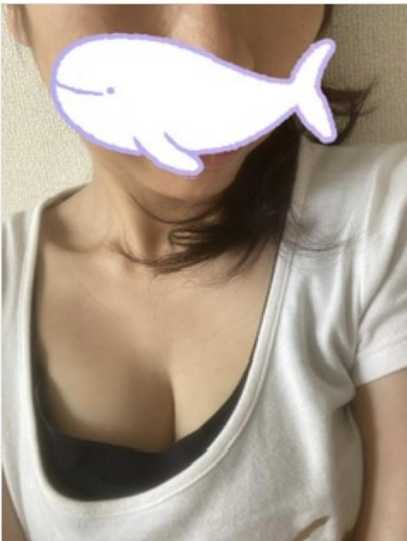 出品者名-写真