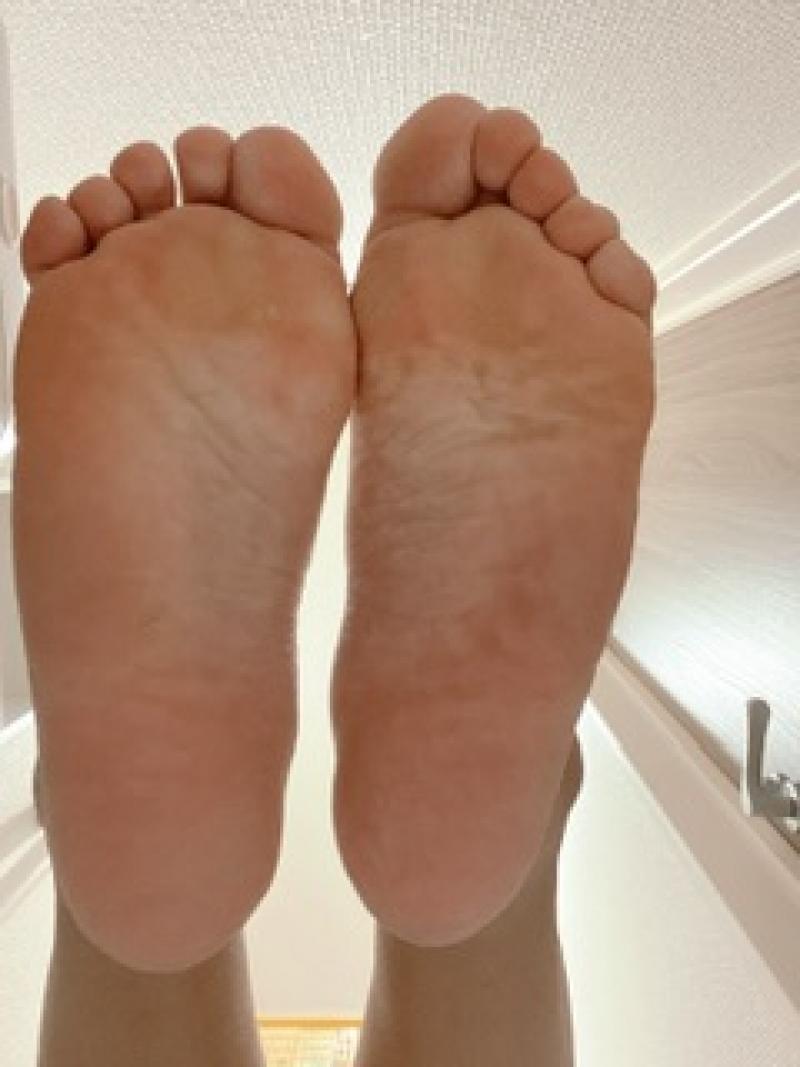 出品者名-写真-1
